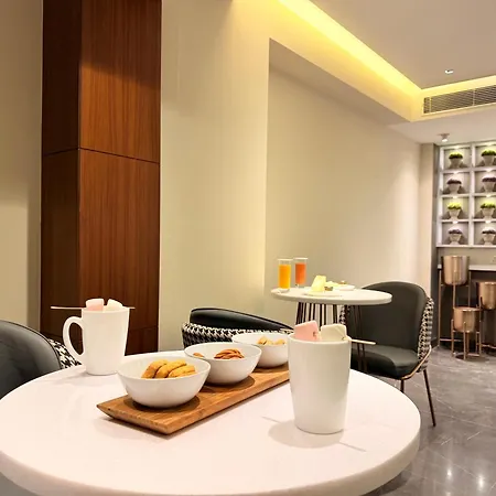 The Prime Delhi, A Luxury Collection Hotel New Delhi-3